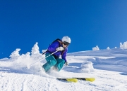 开云体育中国-掀翻世界第三！穆雷联合杯横扫德约，蒙特卡洛旧王横扫归来？