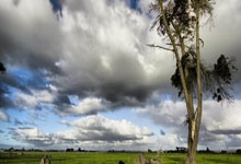 开云体育登录-巴萨制霸德国，当克瓦拉茨赫利亚的舞步踏碎钢铁防线