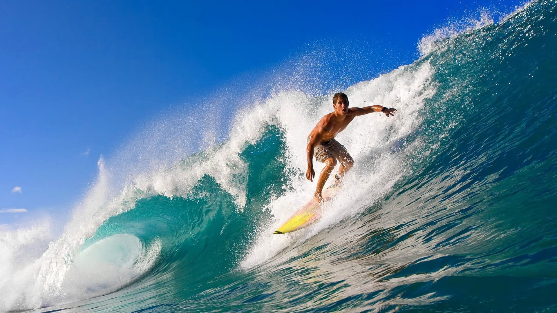 沙特悍将一脚踢碎乌克兰晋级梦！加克波破纪录却成最悲情背景板